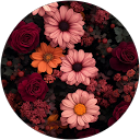 Hanaa M. profile picture